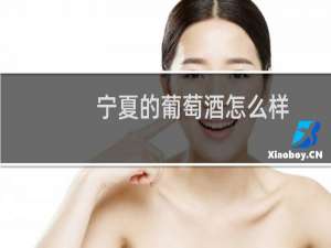 宁夏的葡萄酒怎么样