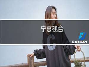 宁夏砚台