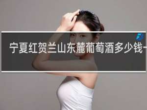 宁夏红贺兰山东麓葡萄酒多少钱一瓶