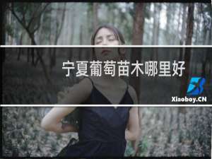 宁夏葡萄苗木哪里好