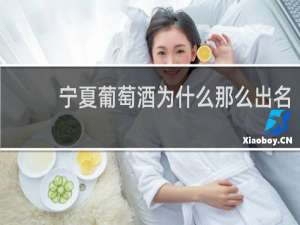 宁夏葡萄酒为什么那么出名