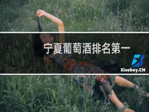 宁夏葡萄酒排名第一