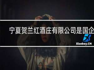 宁夏贺兰红酒庄有限公司是国企吗