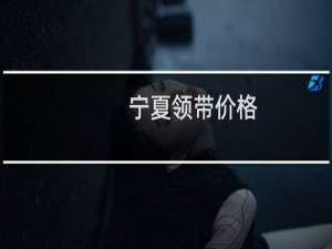 宁夏领带价格