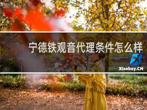 宁德铁观音代理条件怎么样