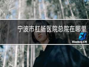 宁波市肛肠医院总院在哪里