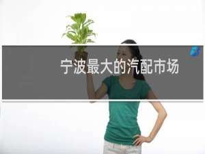 宁波最大的汽配市场