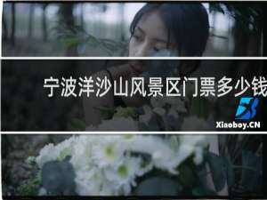 宁波洋沙山风景区门票多少钱