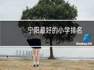 宁阳最好的小学排名