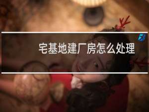 宅基地建厂房怎么处理