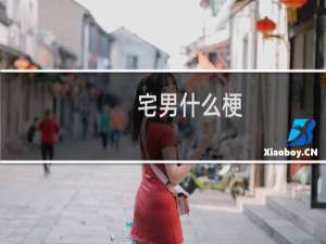 宅男什么梗