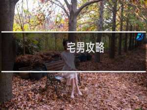 宅男攻略