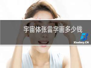 宇宙体张雷字画多少钱