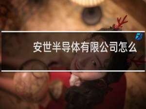 安世半导体有限公司怎么样