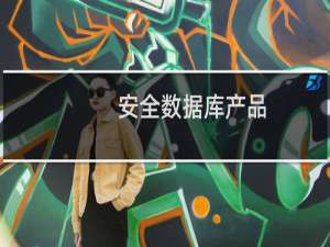 安全数据库产品
