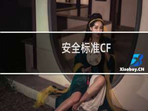 安全标准CF
