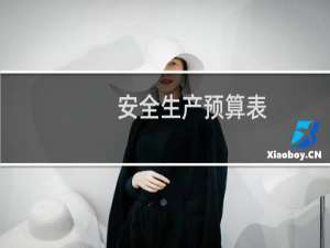 安全生产预算表