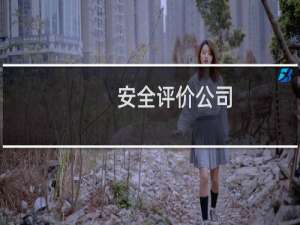 安全评价公司