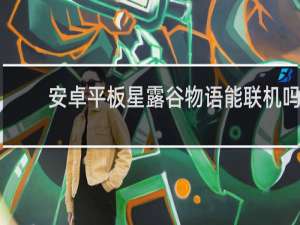 安卓平板星露谷物语能联机吗