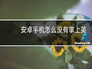安卓手机怎么没有掌上英雄联盟