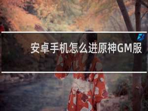 安卓手机怎么进原神GM服