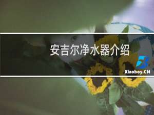安吉尔净水器介绍