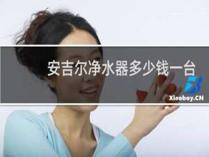 安吉尔净水器多少钱一台