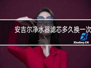 安吉尔净水器滤芯多久换一次