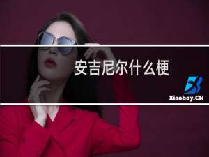 安吉尼尔什么梗