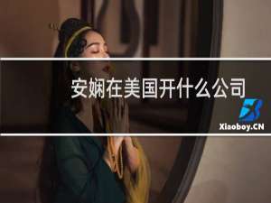 安娴在美国开什么公司