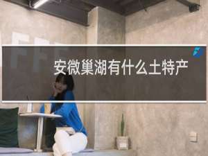 安微巢湖有什么土特产
