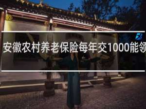 安徽农村养老保险每年交1000能领多少