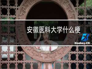 安徽医科大学什么梗