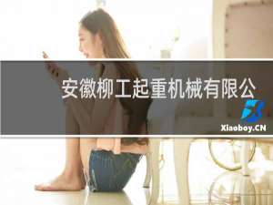 安徽柳工起重机械有限公司