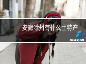 安徽滁州有什么土特产