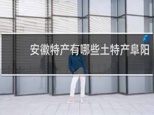 安徽特产有哪些土特产阜阳