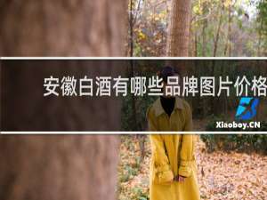 安徽白酒有哪些品牌图片价格