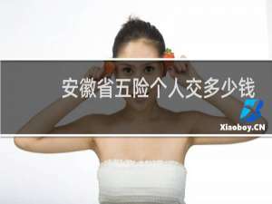 安徽省五险个人交多少钱