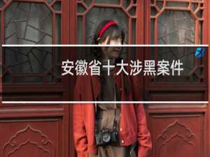 安徽省十大涉黑案件（安徽省十大特产）