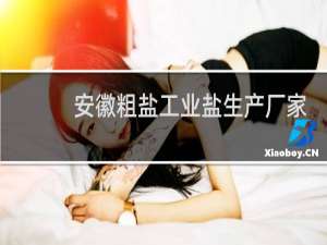 安徽粗盐工业盐生产厂家
