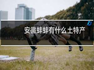 安徽蚌蚌有什么土特产
