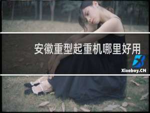 安徽重型起重机哪里好用