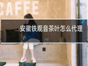 安徽铁观音茶叶怎么代理