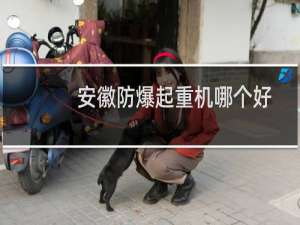 安徽防爆起重机哪个好