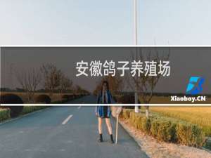 安徽鸽子养殖场