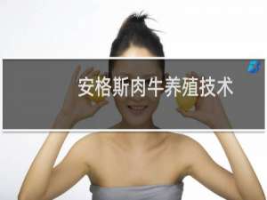 安格斯肉牛养殖技术