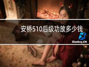 安桥510后级功放多少钱