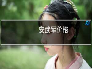 安武军价格