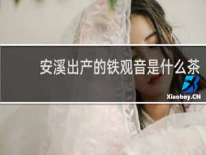 安溪出产的铁观音是什么茶