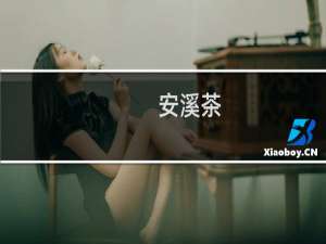 安溪茶（安溪特产）